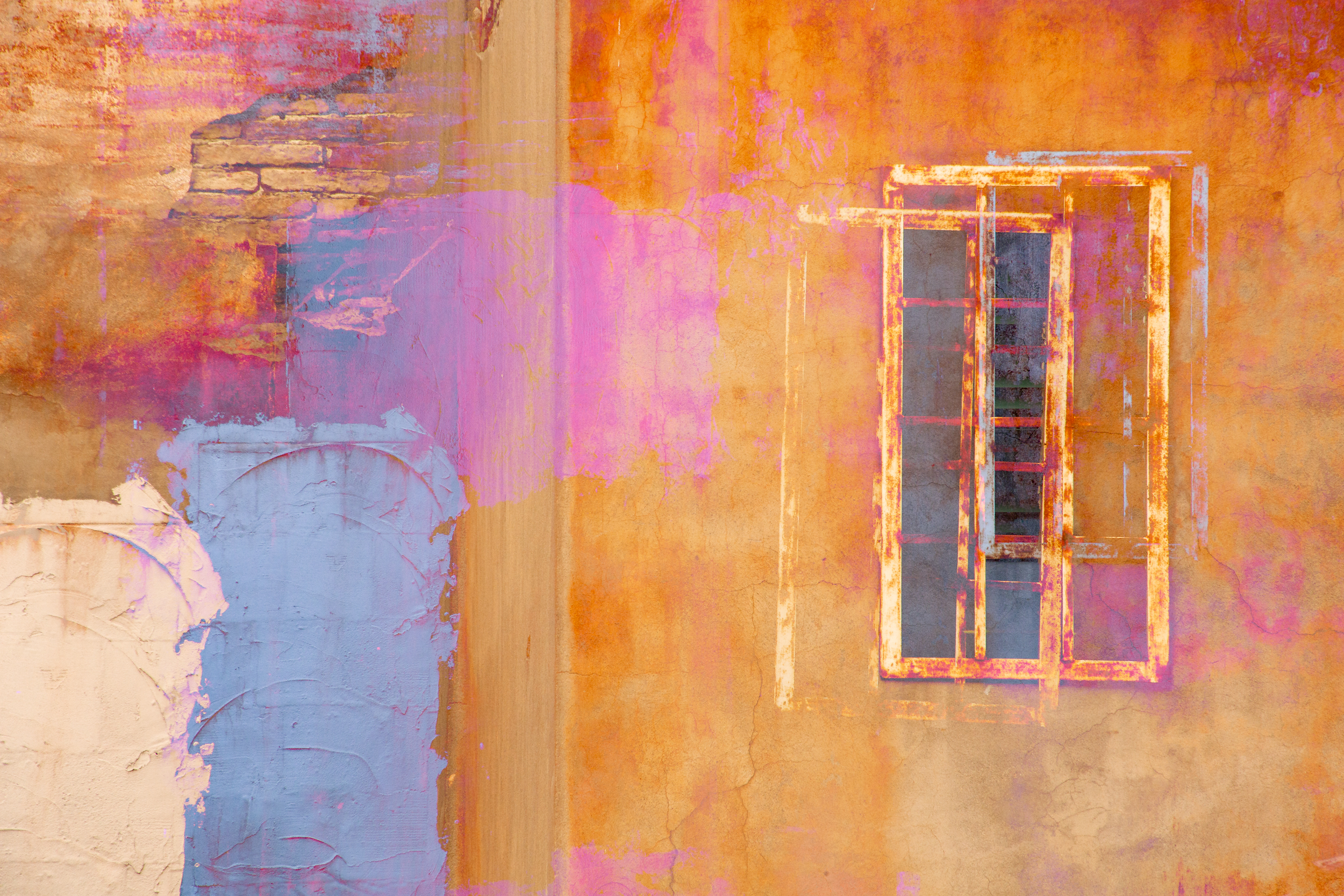 Dreaming in Color