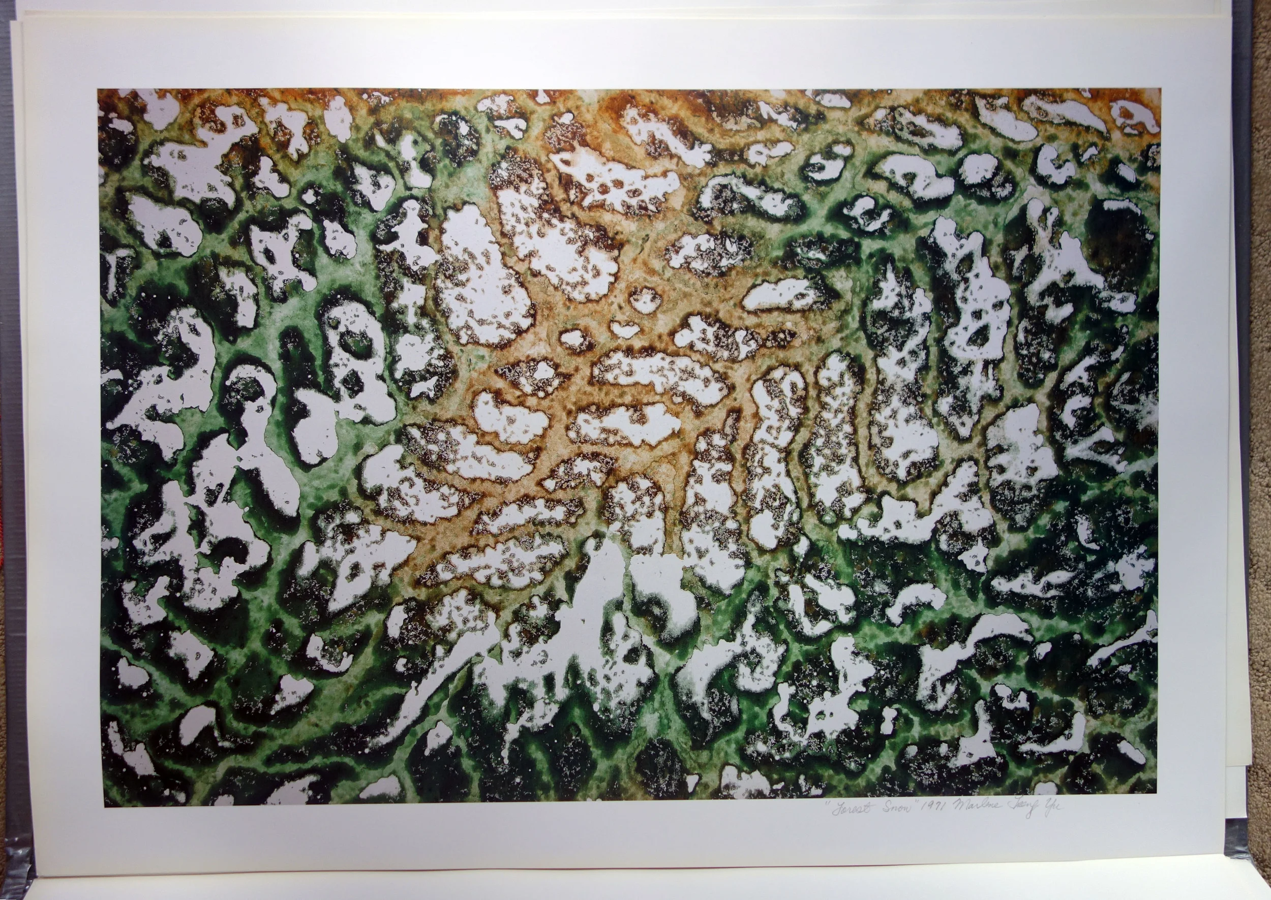 Forest Snow, 1971