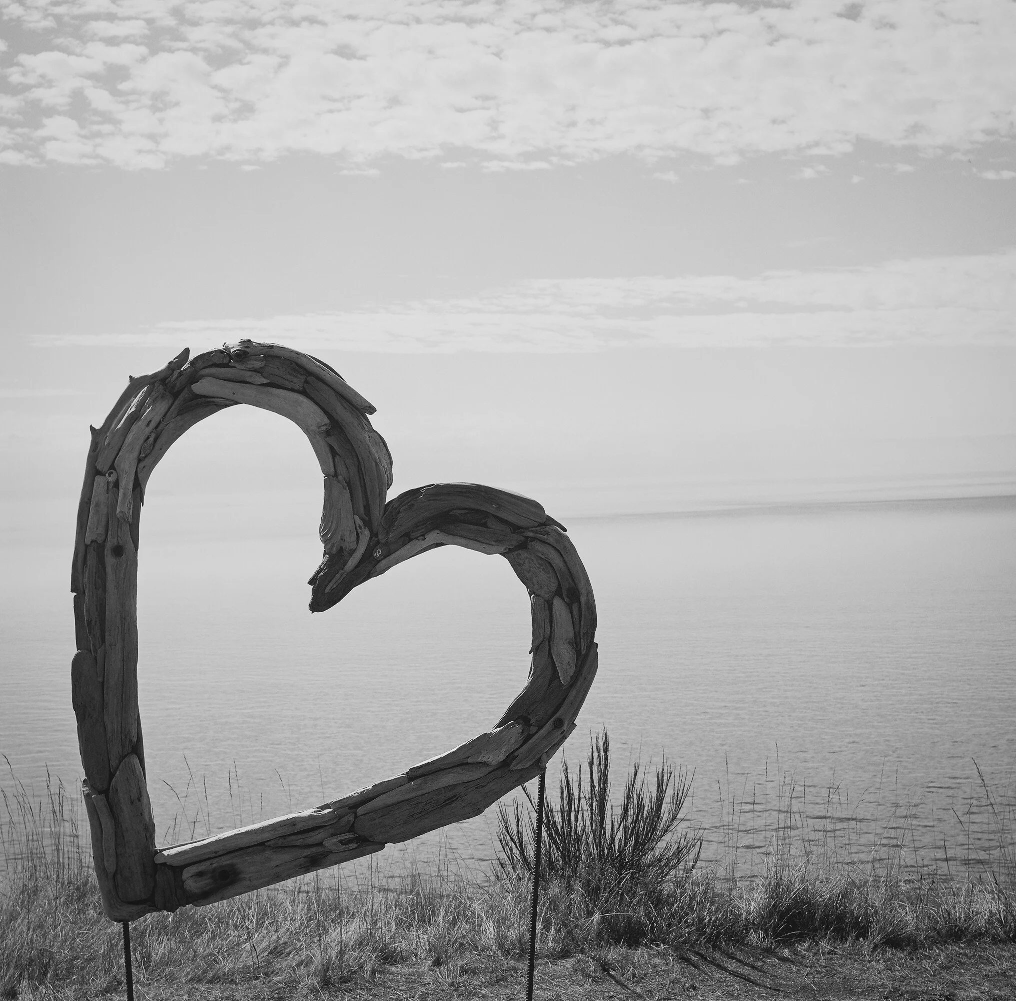 This amazing driftwood piece was handcrafted and nailed together by Pam as well. It was a labor of love.