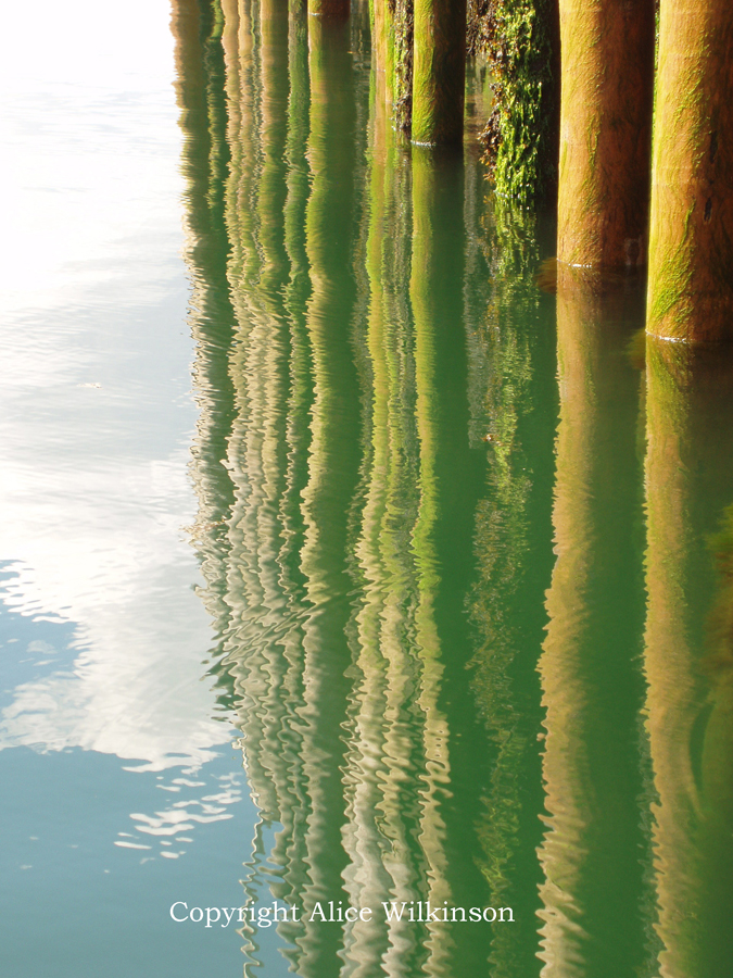 pier and moss