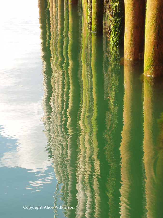 pier and moss