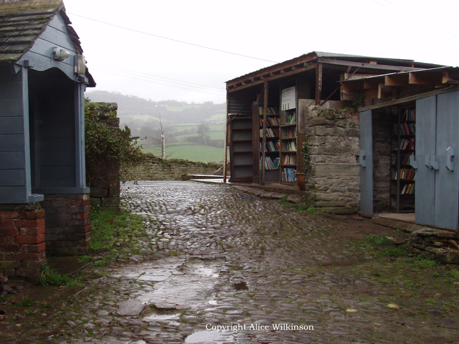  books in rain 