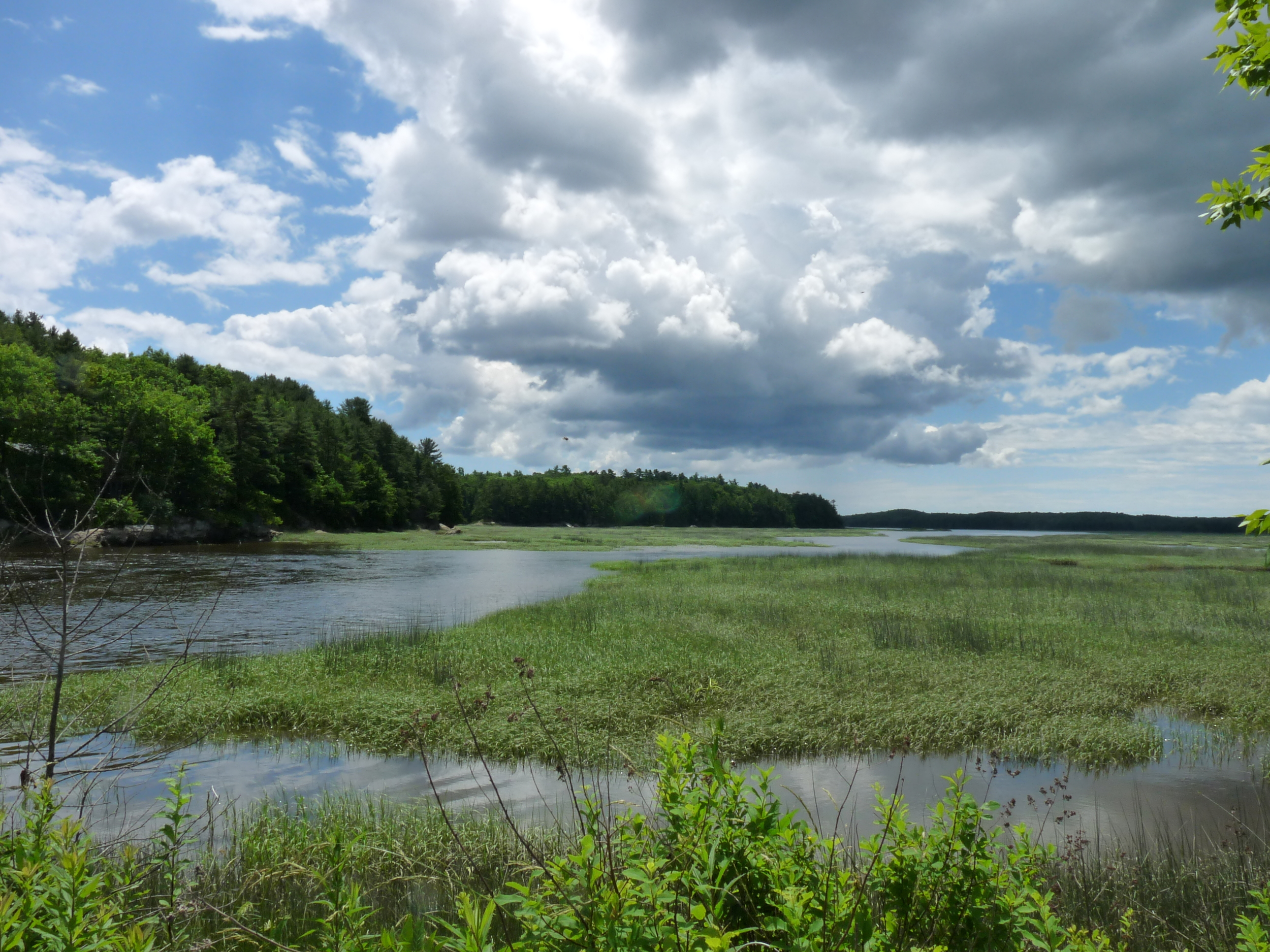  marsh on old Rte. 1&nbsp; #7 