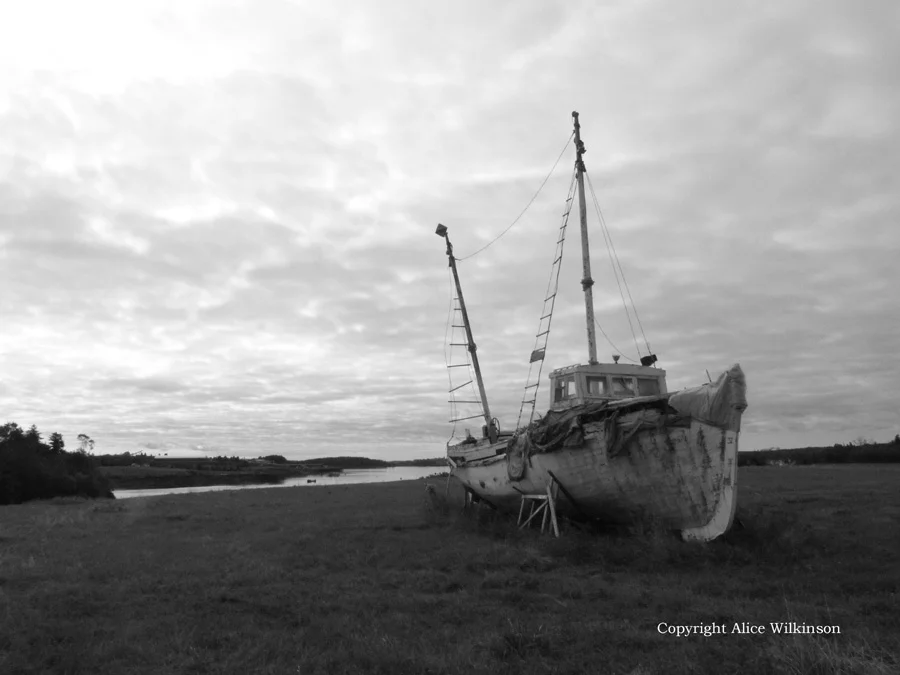 boat and grass