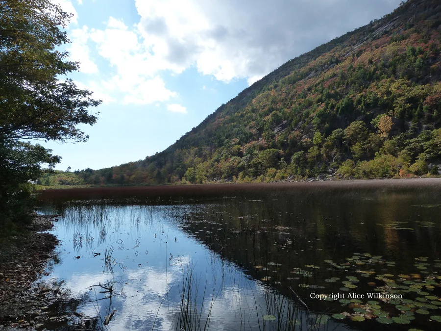 Acadia