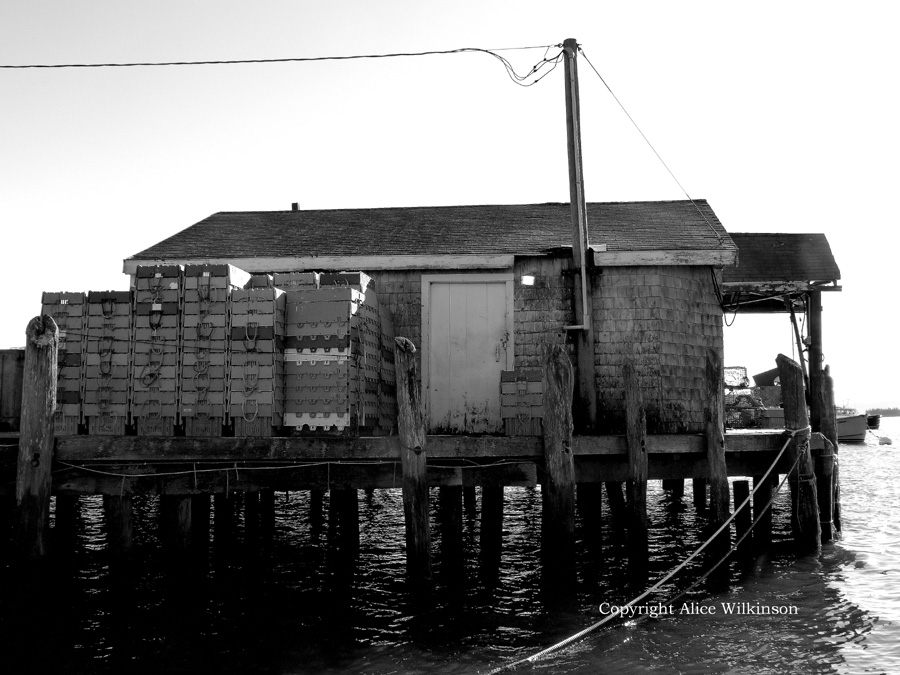  shed on piers 