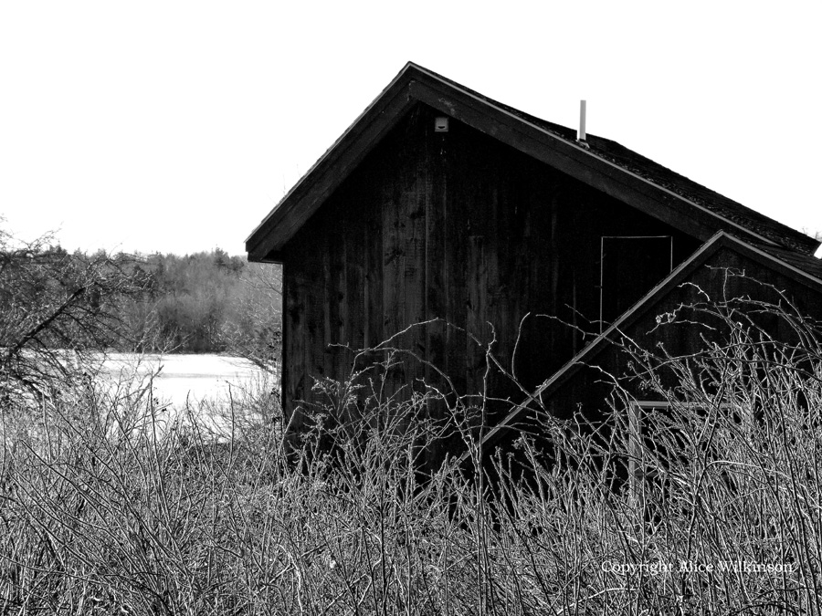 small building in winter