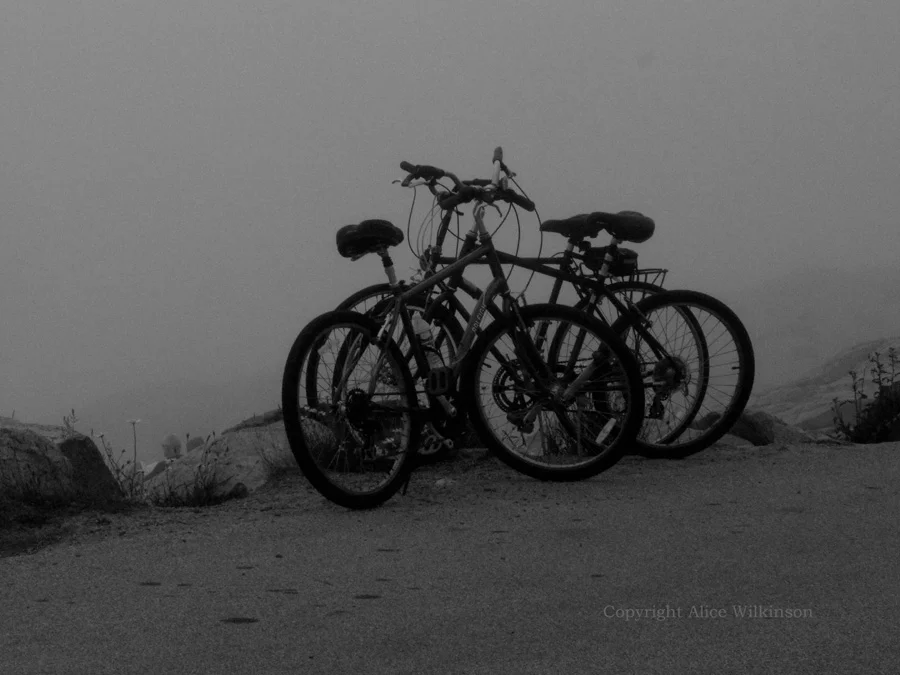 bikes in the fog
