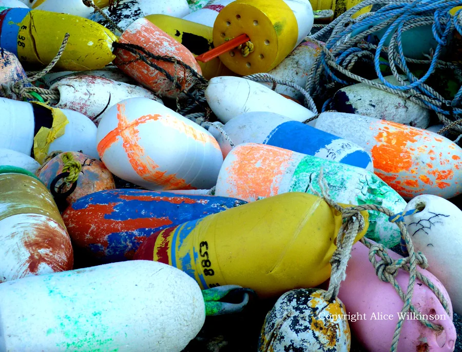 buoys