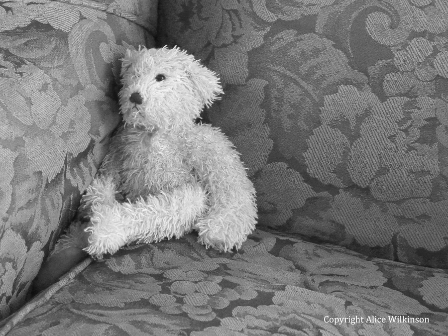 bear in a chair