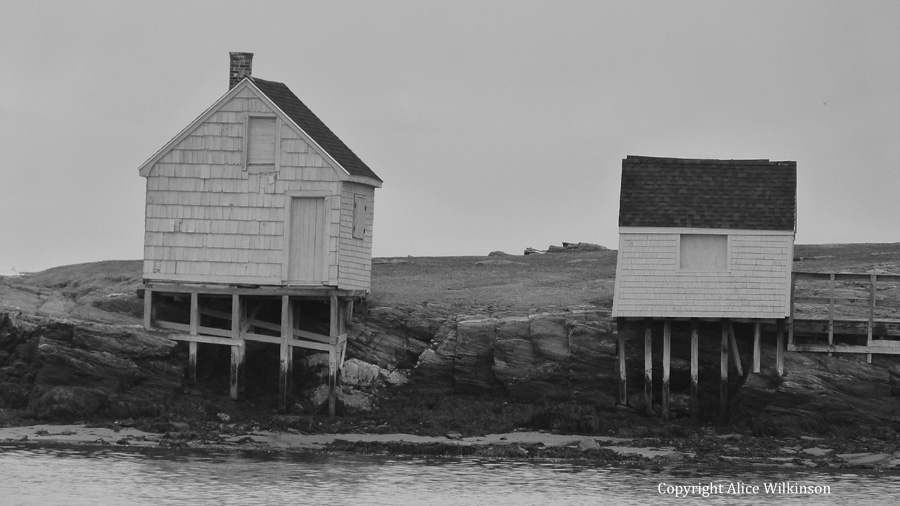 big fish house, small hut