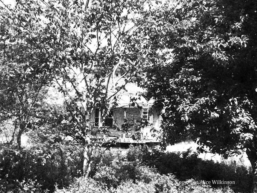 summertime house