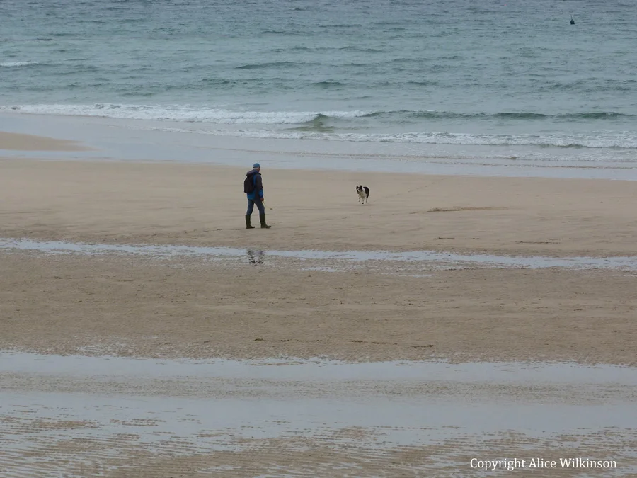 man and dog