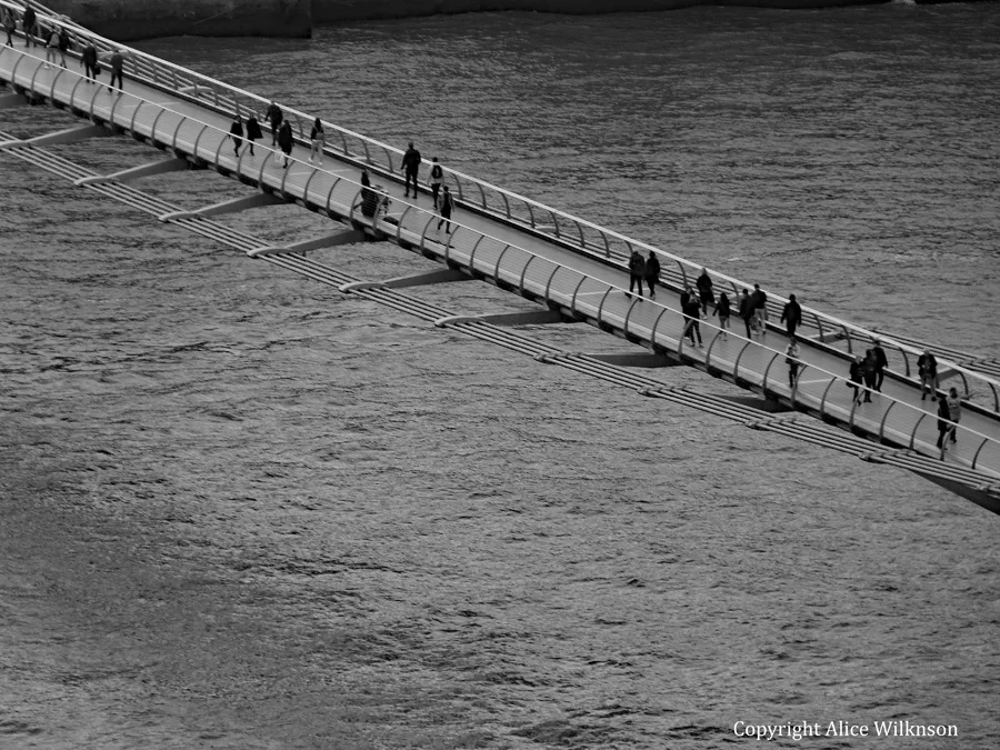 bridge