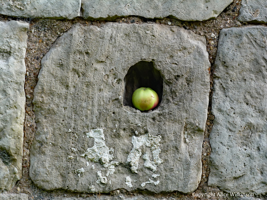  wall with apple 