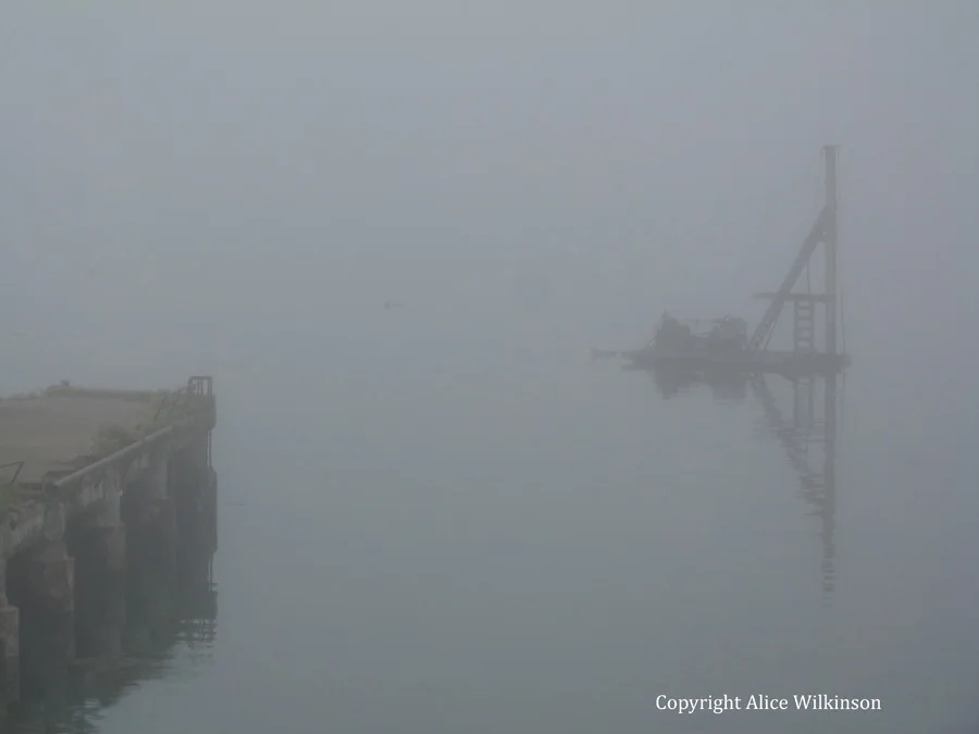 floating in fog