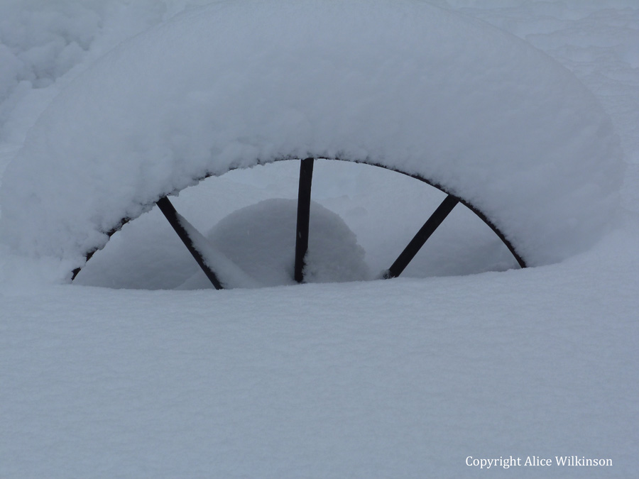  another wheel and snow 