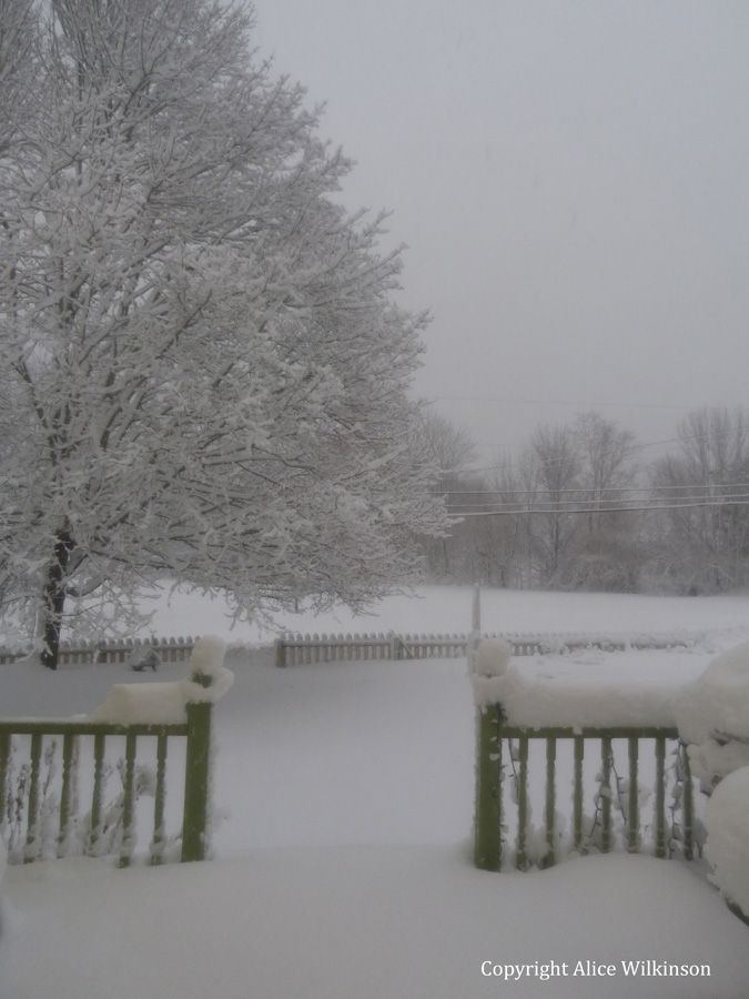 March snow