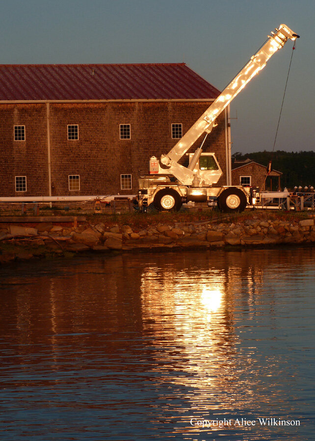  crane at sunset 