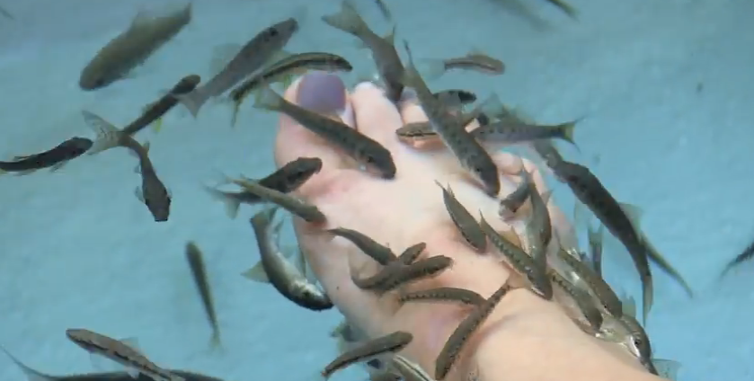 Screenshot 2014-03-07 15.36.06.png