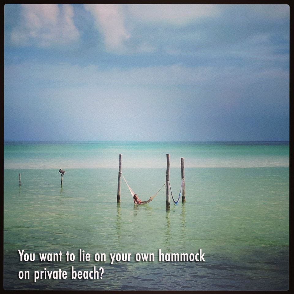 Hammock.jpg