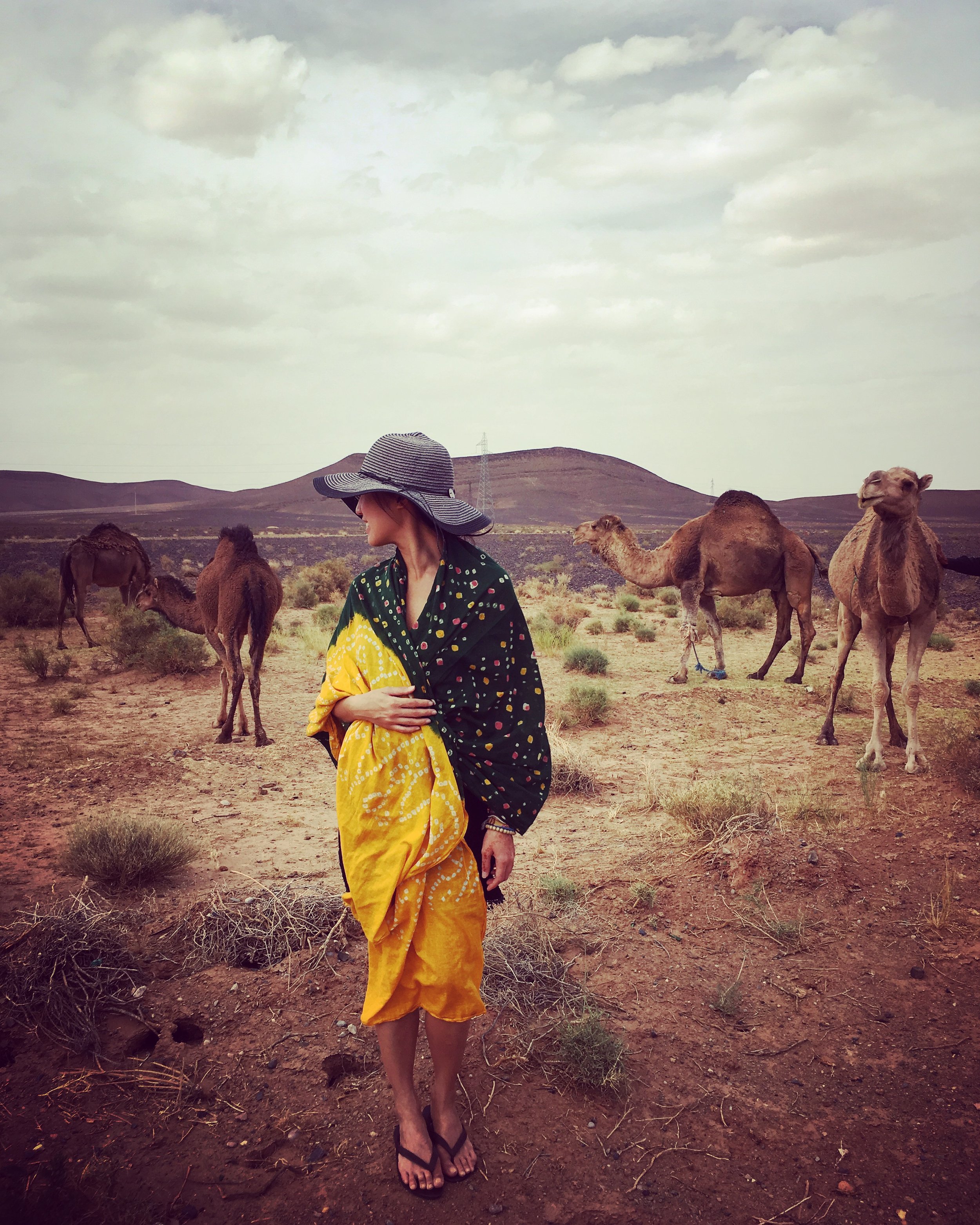 Strike a pose with roadside camels
