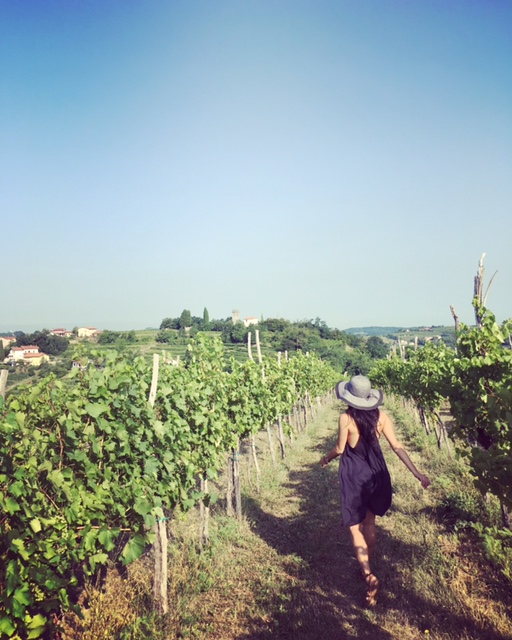 Vineyards of Brda