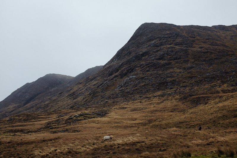 Ireland-Road-Trip-009.jpg