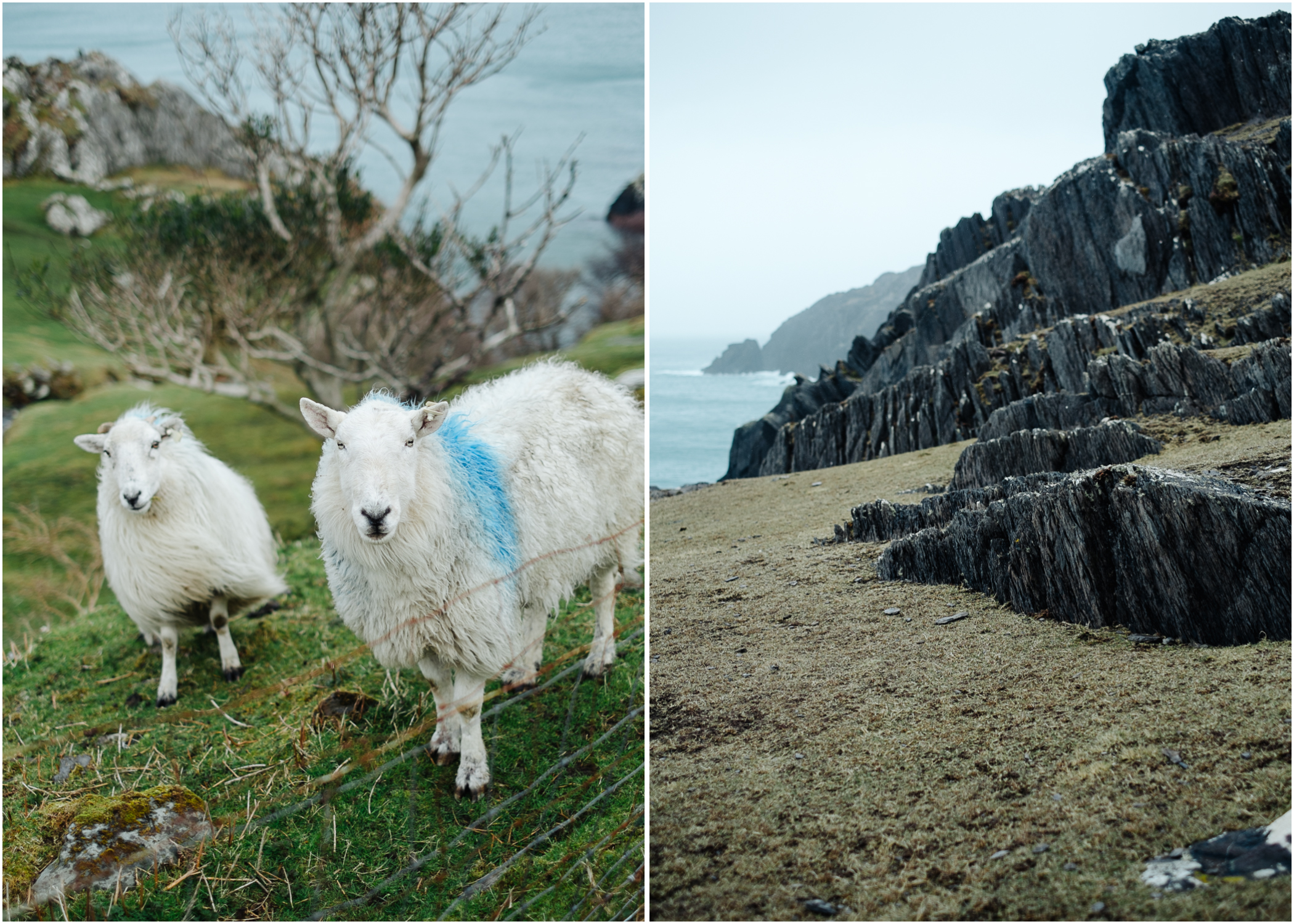 ireland-road-trip-14.jpg