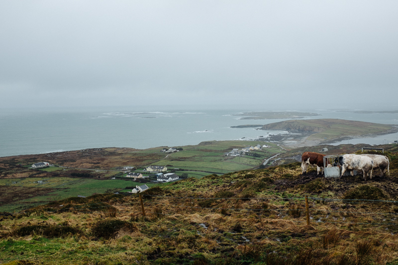 Ireland-Road-Trip-015.jpg