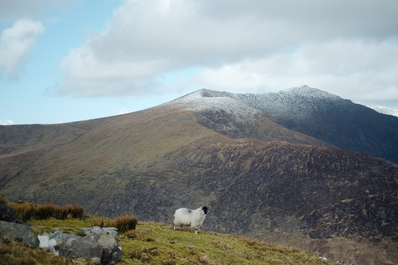 Ireland-Road-Trip-068.jpg