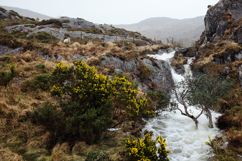 Ireland-Road-Trip-086.jpg