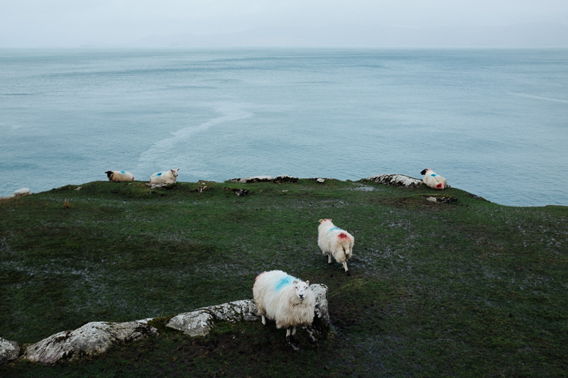 Ireland-Road-Trip-090.jpg