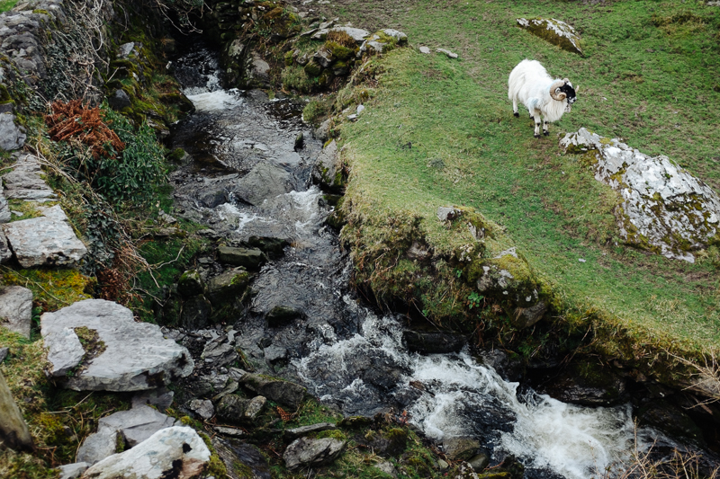 Ireland-Road-Trip-092.jpg