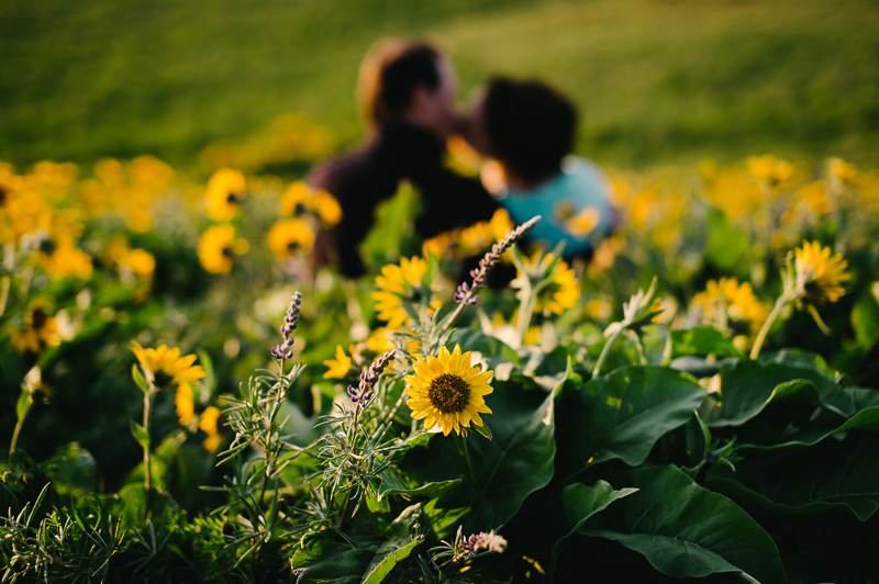 rowena-crest-columbia-gorge-engagement-019.jpg