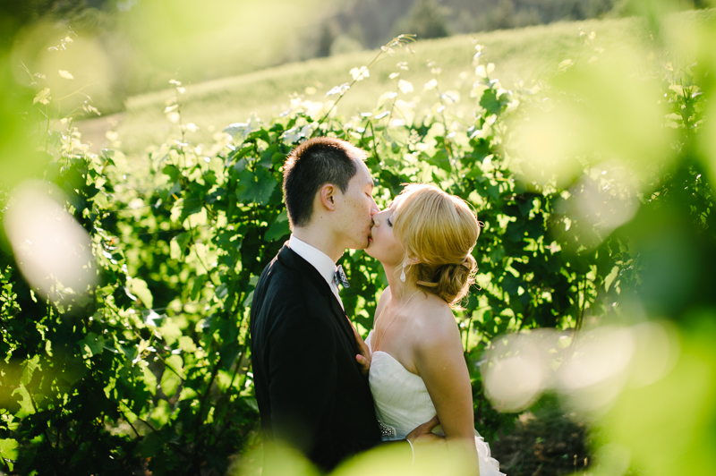 david-hill-winery-wedding-049.jpg