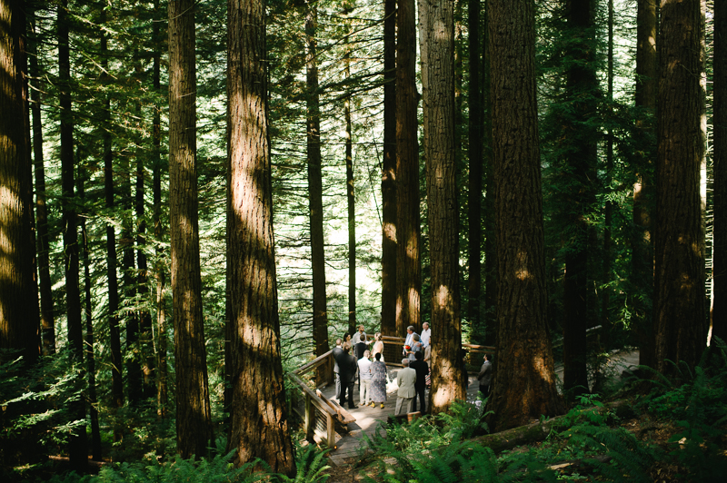 forest-park-redwood-elopement-030.jpg