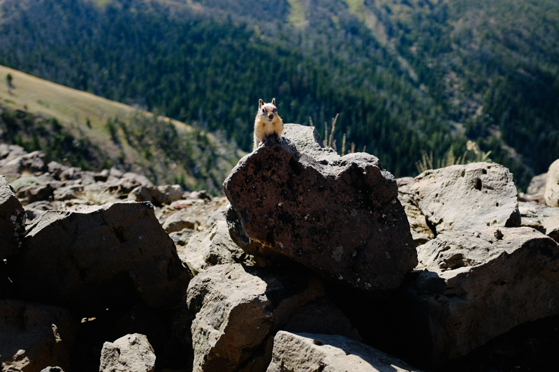 oregon-trail-trip-traveloregon-069.jpg