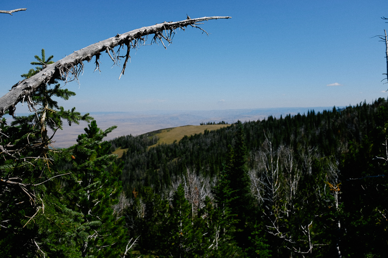 oregon-trail-trip-traveloregon-071.jpg
