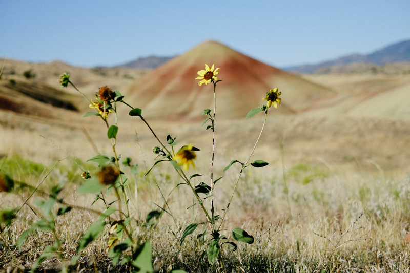 oregon-trail-trip-traveloregon-204.jpg