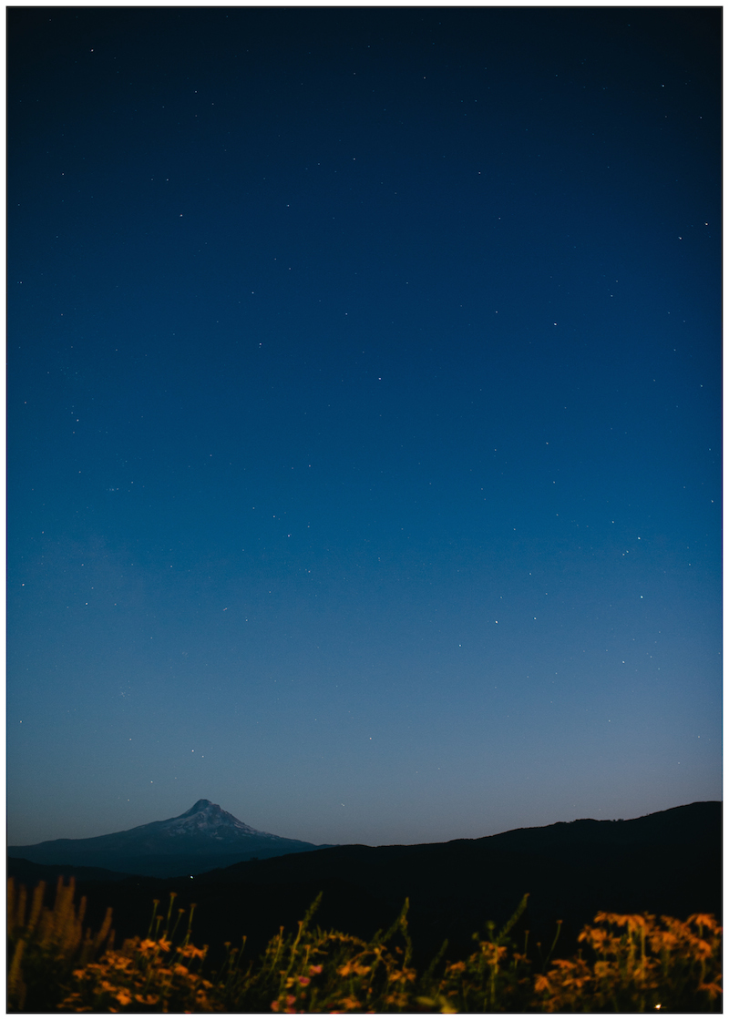 gorge-crest-vineyard-mt-hood-wedding-081a.jpg