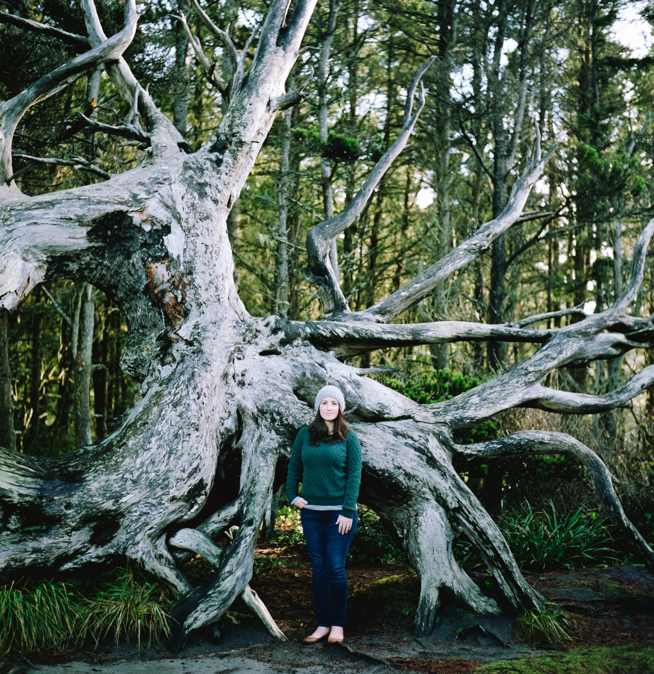 003-003-Pro400H-Rolleiflex-20150112.jpg