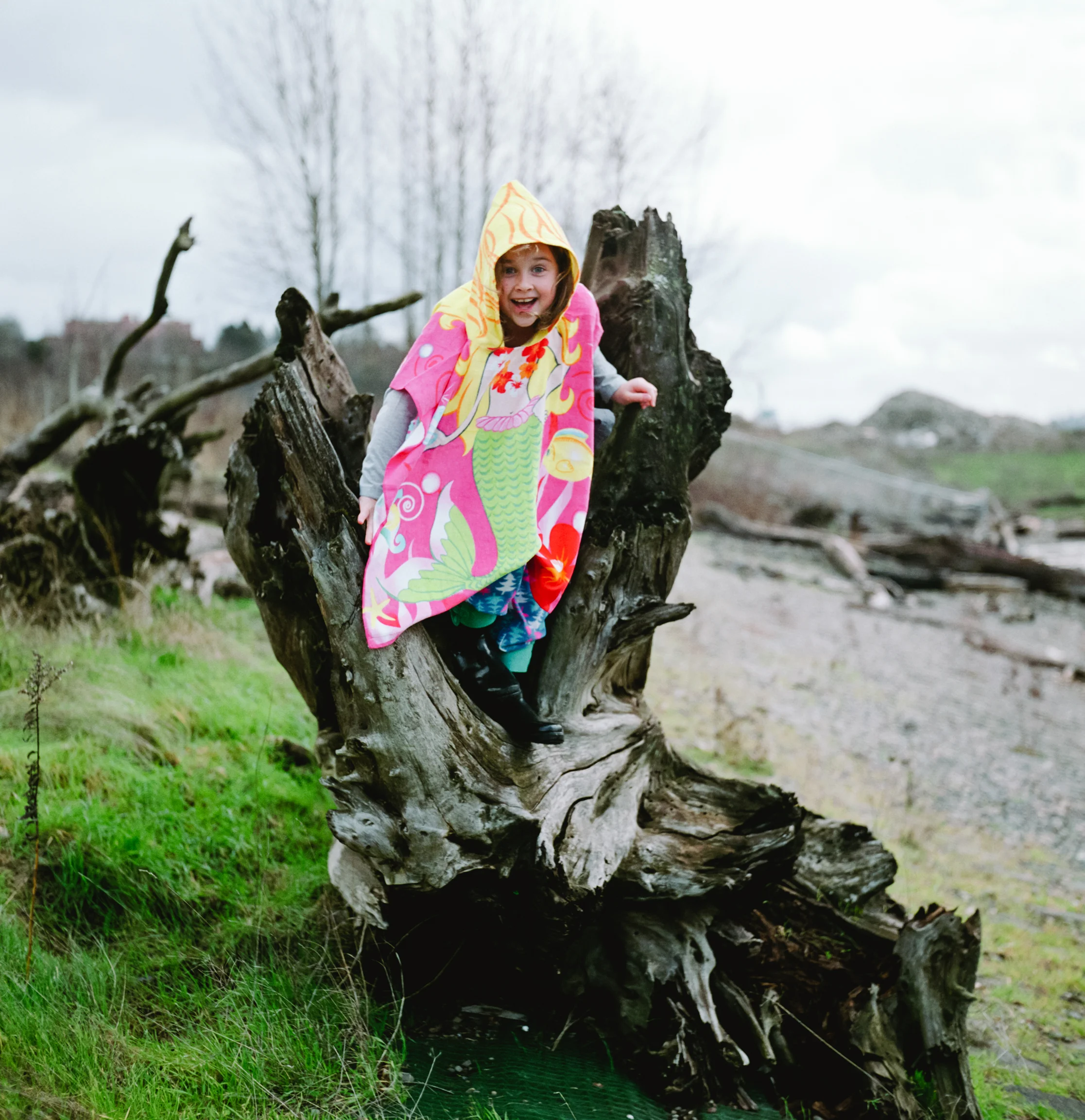 011-011-Pro400H-Rolleiflex-20150112.jpg
