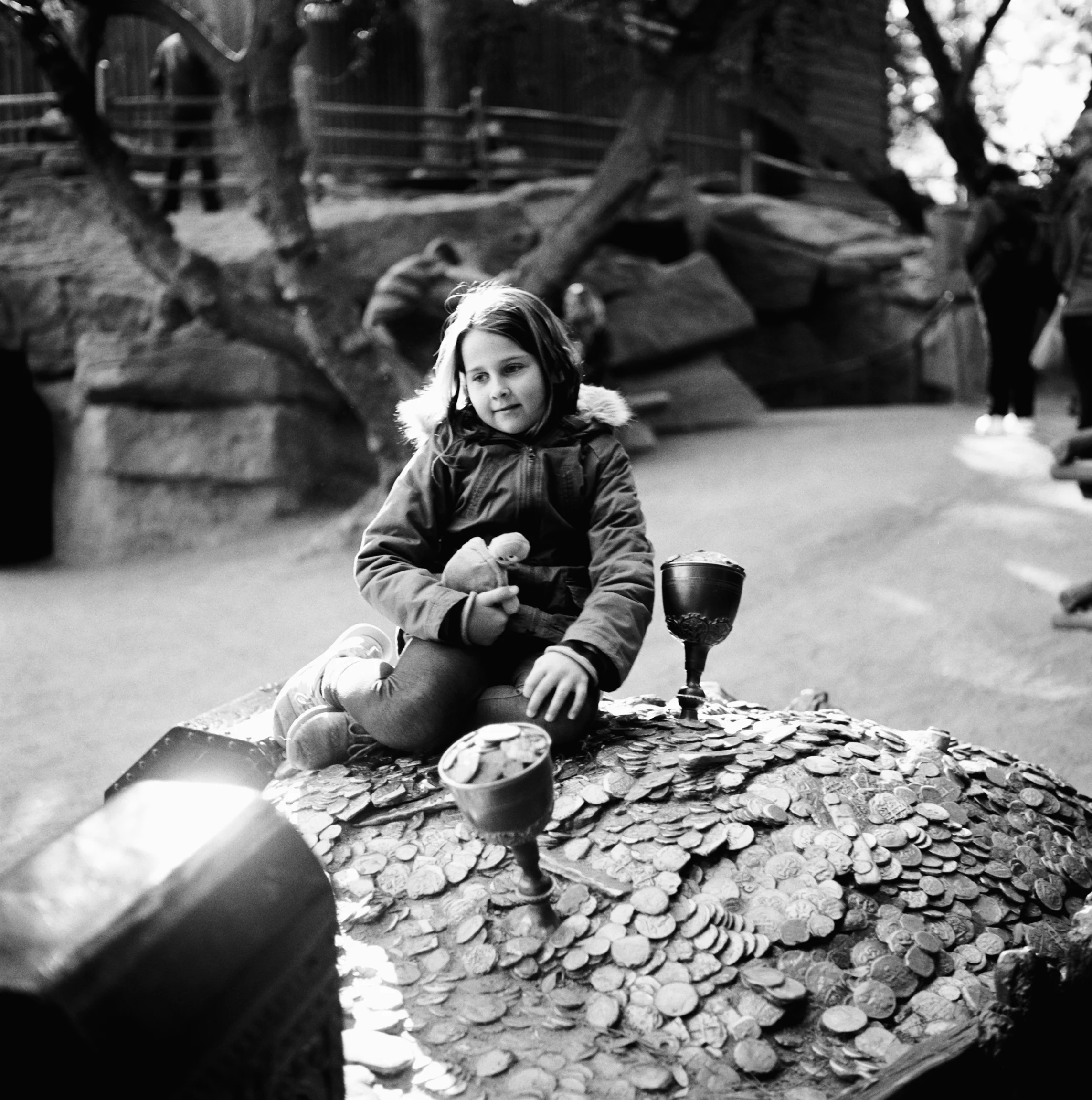 019-007-TriX400-Rolleiflex-20150112.jpg