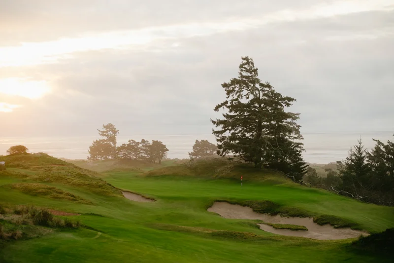 bandon for my birthday