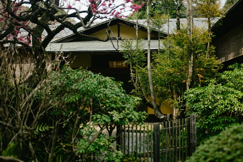 japan-travel-from-oregon-055.jpg