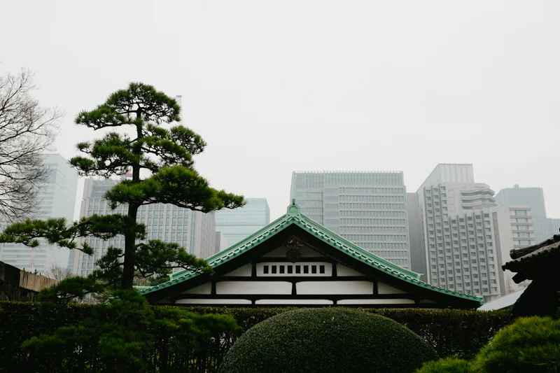 japan-travel-from-oregon-094.jpg