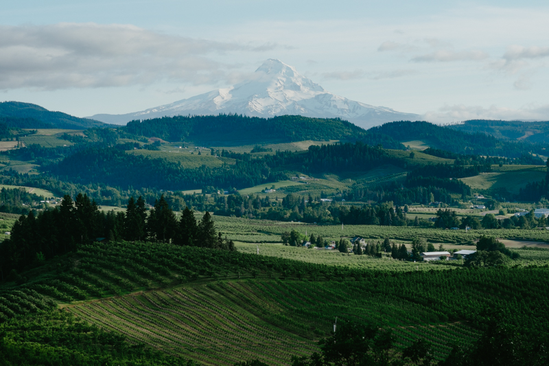 crag-rats-hut-mt-hood-wedding-064.jpg