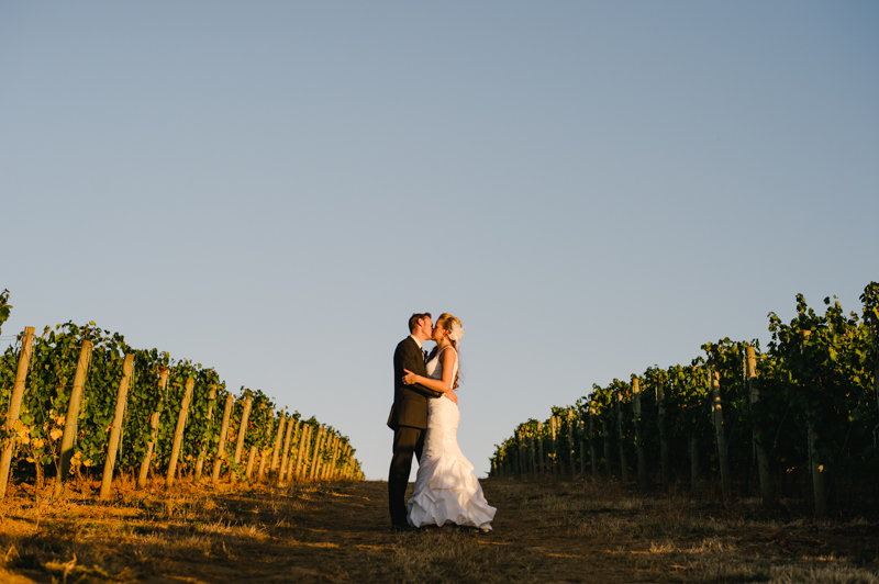 saffron-fields-vineyard-wedding-067.jpg