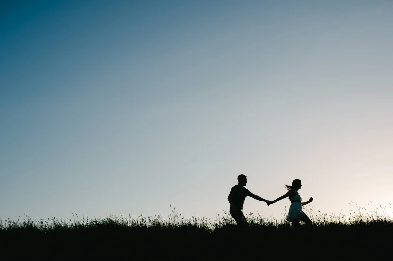 2016, year in review